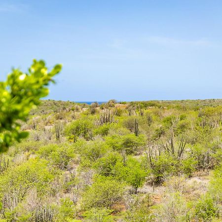 וילמסטאד 6 Persoons Vakantiehuis In Jan Thiel מראה חיצוני תמונה